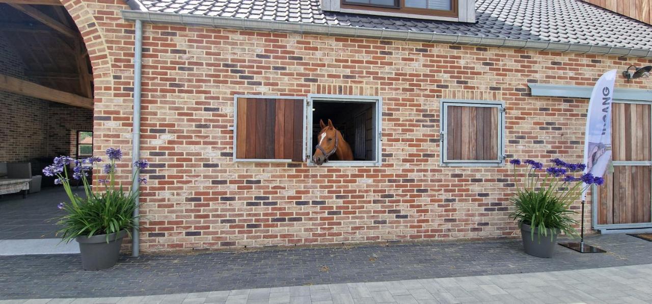 Logies Op 'T Gestel Opglabbeek Exterior photo